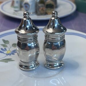 Classic Silver Salt and Pepper Shakers - Polished Silver Tone